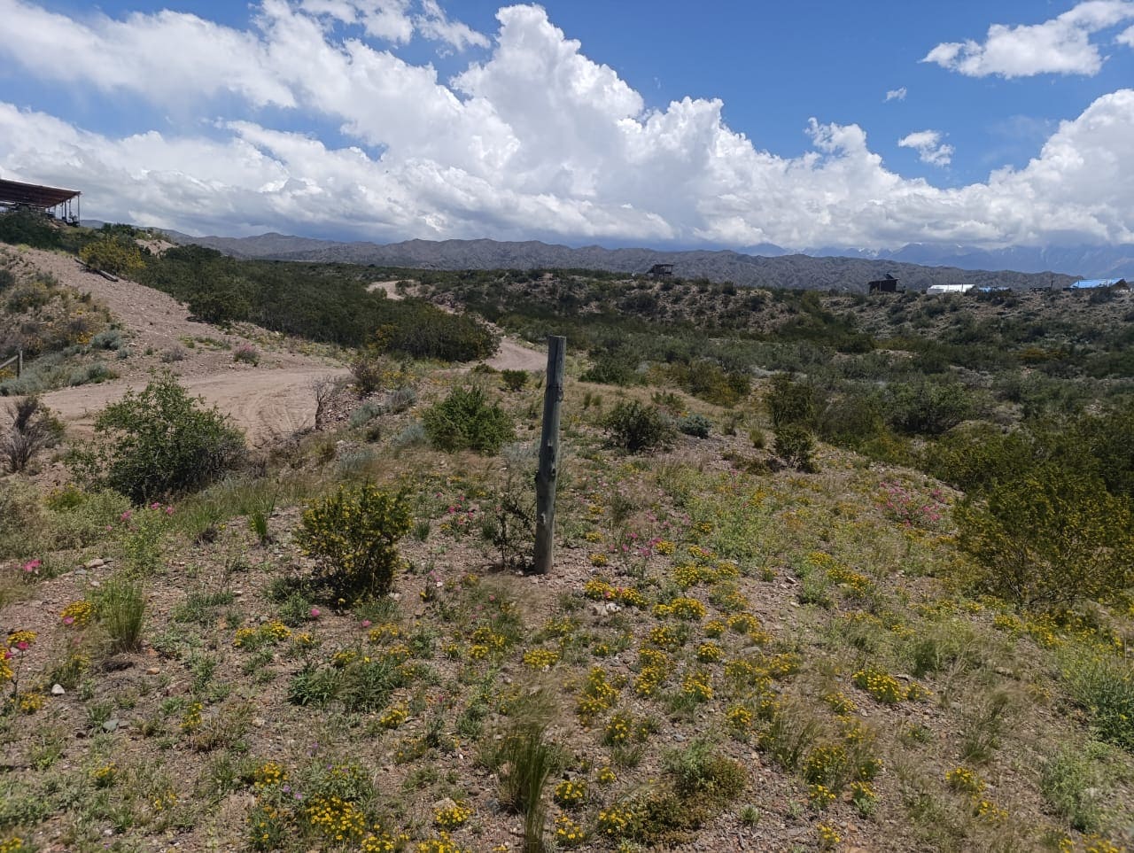 Lote, Ruta 7, Potrerillos, oportunidad, inmobiliaria, inversión